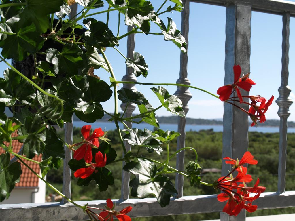 Apartment Arta Vodice Exterior foto
